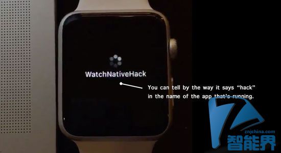 Apple Watch SDK被黑？