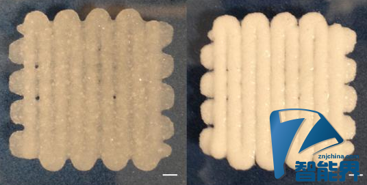 靠3D打印填補骨折裂縫