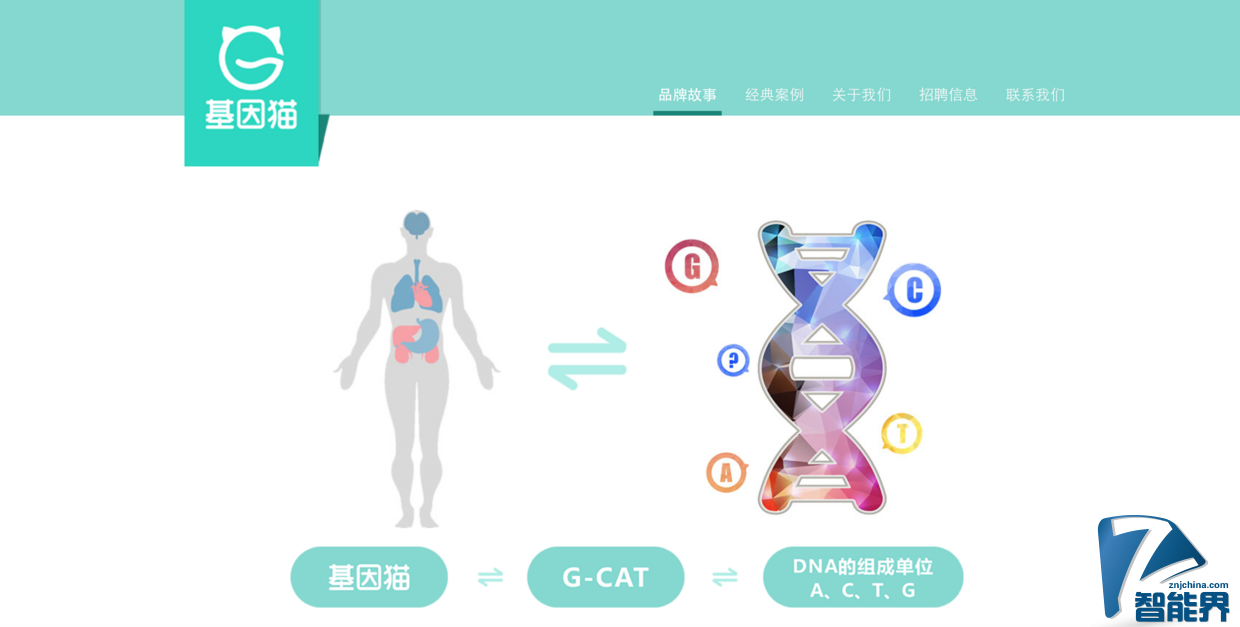 基因檢測可能要打價格戰(zhàn)了，全環(huán)節(jié)自研的 “基因貓” 能突圍而出嗎