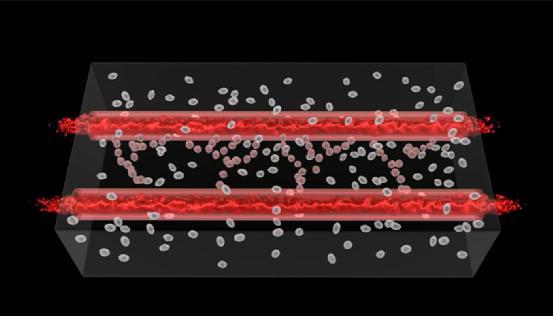 科學家用3D打印技術(shù)制造“活的”血管組織