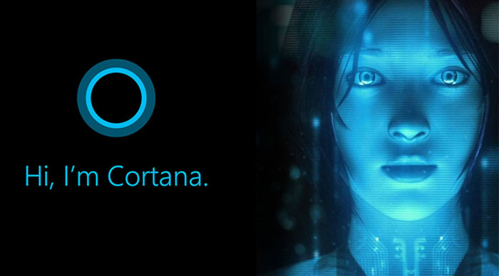 你一定不知道，Cortana 背后的槍手是這些人……