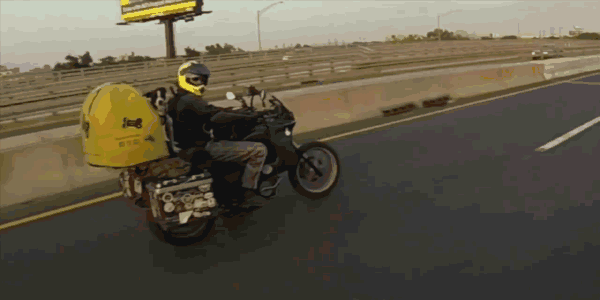 【智能界大百科】Pillion Pooch摩托車帳篷可以帶狗狗周游世界