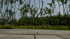 gif3.gif