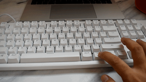 DSC_17402020727331.gif