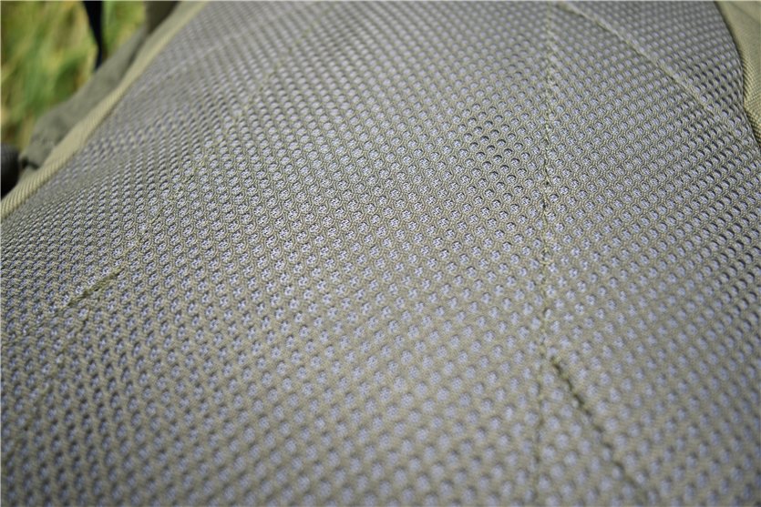 DSC_2446.jpg
